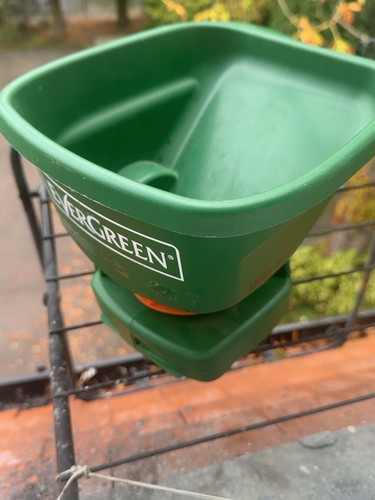 Evergreen handy grass seed - handy, &