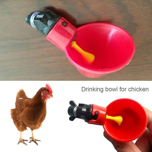 10pcs chicken water - 10pcs, feeder