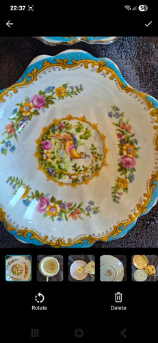 Royal albert bone china floral - albert,