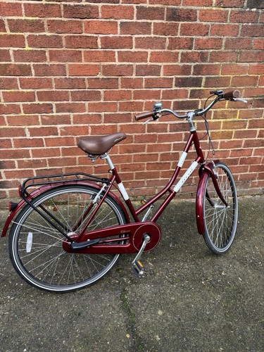 Retro style shopper bike - retro,