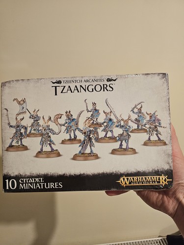 Tzaangors disciples - disciples, of