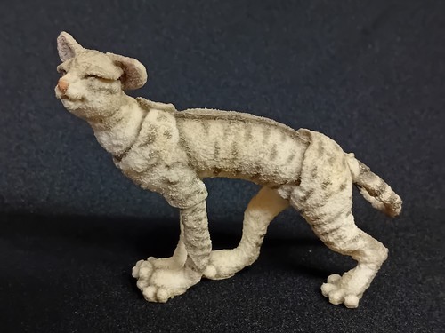 Breed apart grey tabby - a,