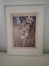 Narcissus Fairy by Cicely Mary