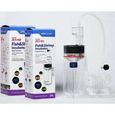 Ziss egg tumblers breeding - egg,