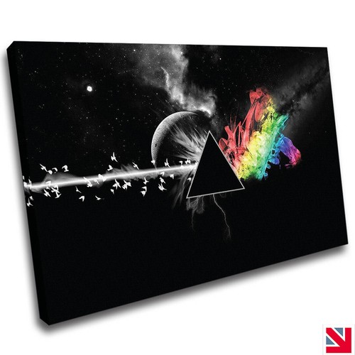 Pink floyd dark - of, the