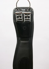 Demo Albion Legend Dressage