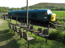 Photo A3 Picnic table at