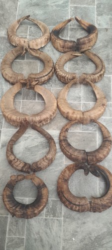 Pairs ram horns - of,