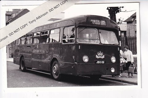 Western welsh leyland - welsh,