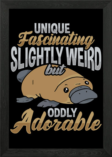 Platypus animal framed wall - animal,
