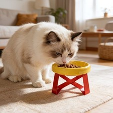 Large Diameter Elevated Cat