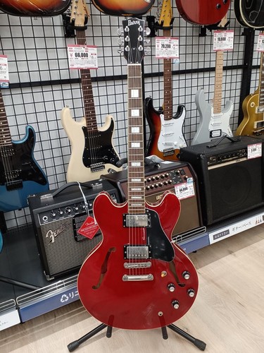Burny srsa semi acoustic - burny, srsa-65