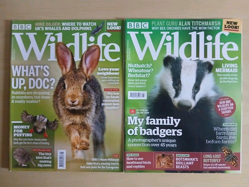 Bbc wildlife july and - wildlife,