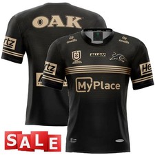 Alternate 2025 Panthers