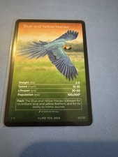 LIFE TCG Birds (Full Arts)