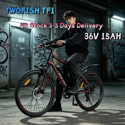 City electric bicycle - bicycle, 250w