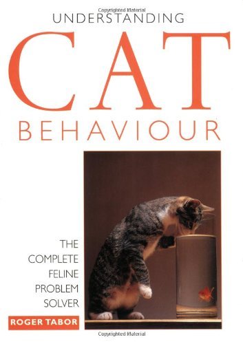 Understanding cat - understanding,