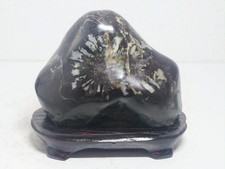 Japanese Viewing Stone Suiseki