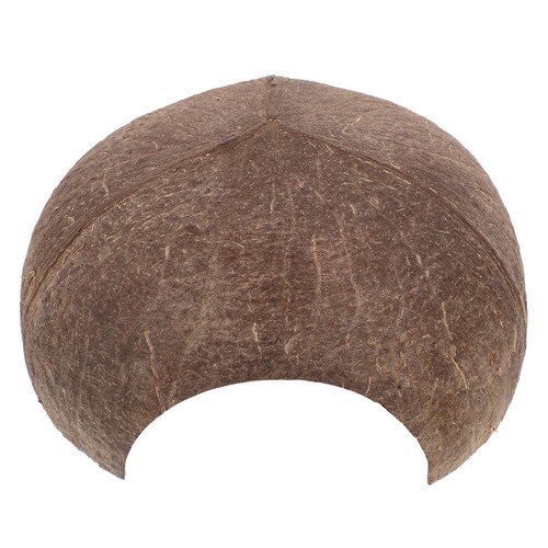 Lizard tank accessories - lizard,