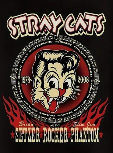 Stray cats american - stray, cats,