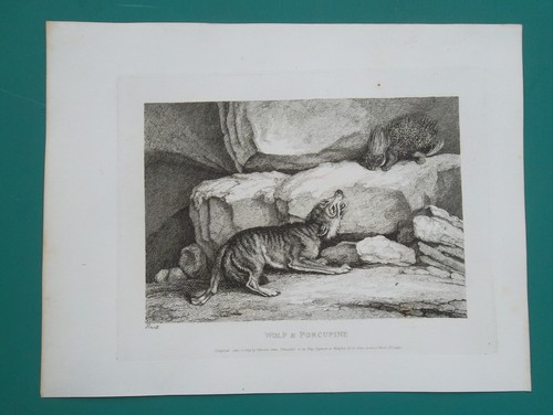 Aesop fables wolf and - fables,