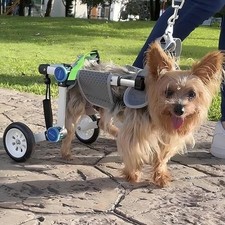 Adjustable Dog Wheelchair FOR AUCTION Back Legs Mobility Support Lightweight