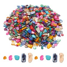 500g Crushed Shells Irregular