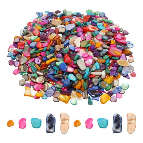 500g crushed shells irregular - shells,