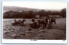POSTCARD THE REAPERS SHIRE