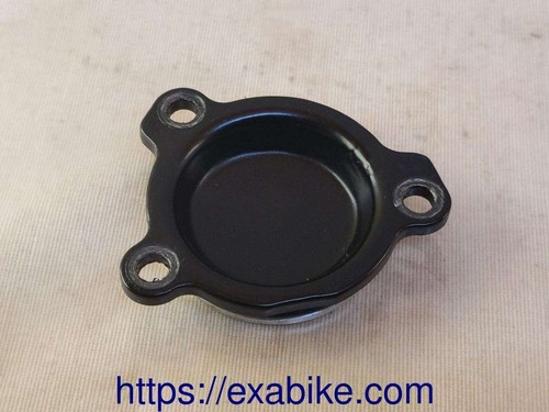 Engine cover for bmw - engine, f800st
