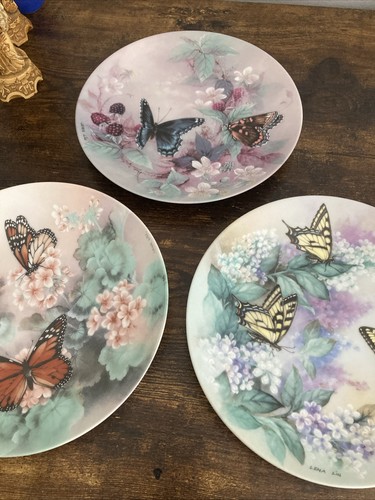 Set collector plates by - set,