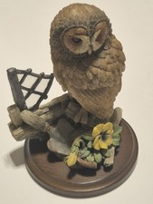Country Artist Tawny Owl with
