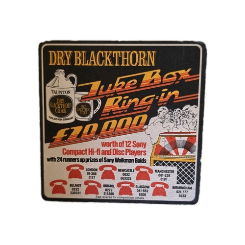 Dry blackthorn cider - ,