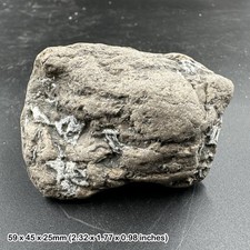 Ichthyosaur Coprolite Fossil