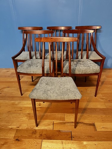 Mid century dining chairs - century,