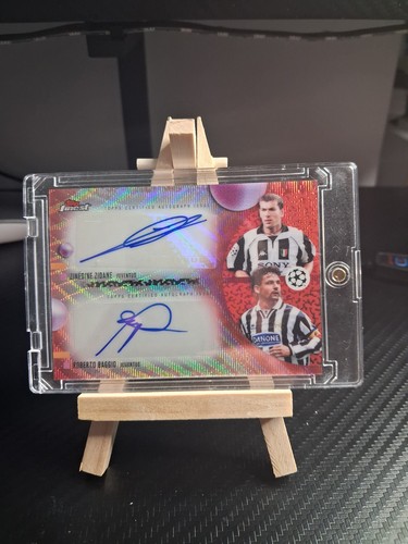Zinedine zidane roberto baggio - zidane,
