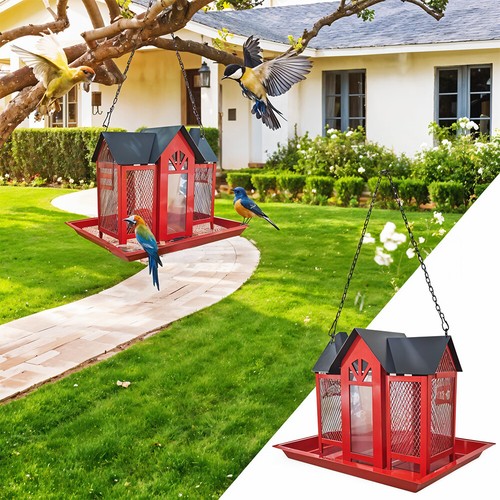 Hanging metal birds seed - metal,