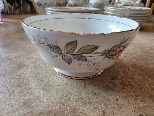 Vintage paragon bridal rose - rose, 20