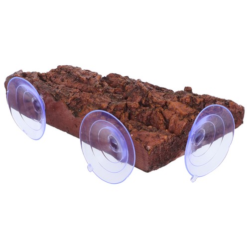 Tortoise basking platform - tortoise,