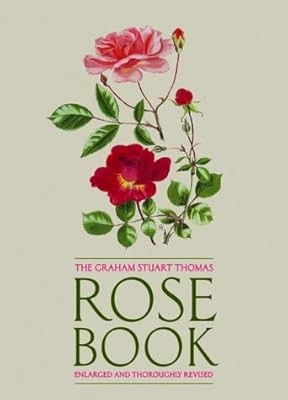 The graham stuart thomas rose - graham,
