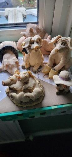 Piggin collectables david - collectables,