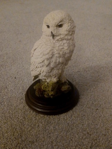 Country artists snowy owl - country, 'snowy