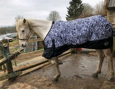 Zebra Print Horse Turnout Rug