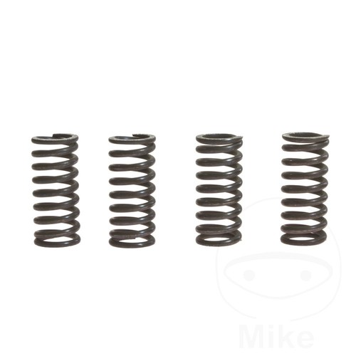 Clutch spring kit - spring,