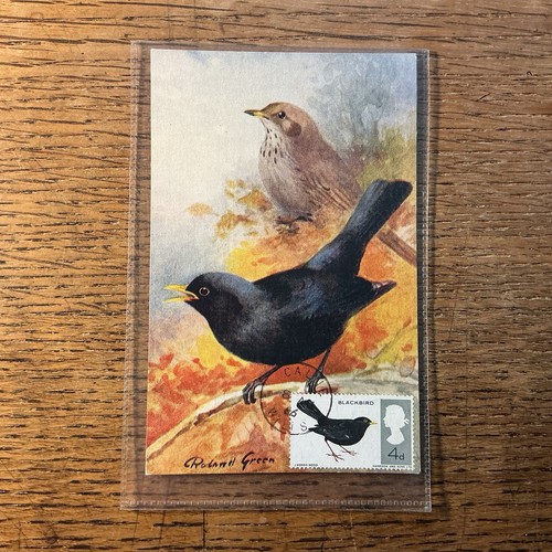 Blackbird maxicard vintage - blackbird,