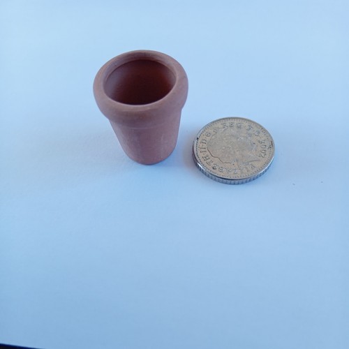 Dolls house miniature plant - house,
