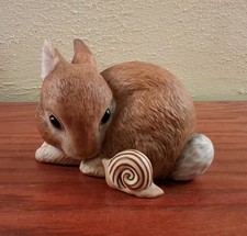 Slowpoke Curious Bunny and