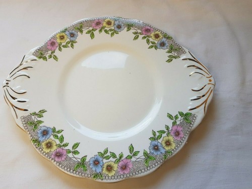 Salisbury china - salisbury,