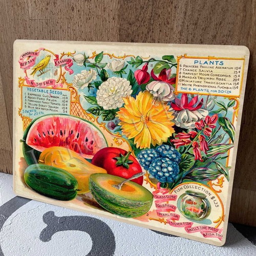 Vintage fruit flowers seed - fruit,