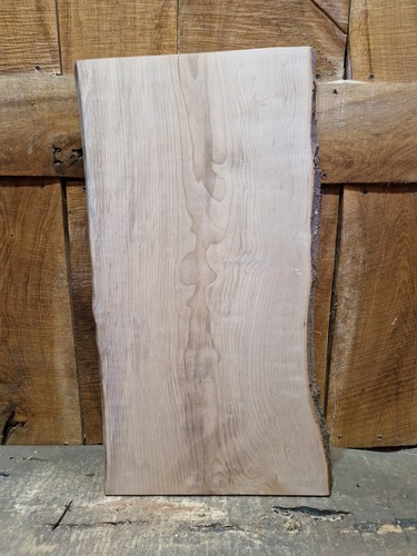 Live edge beech slab - edge,